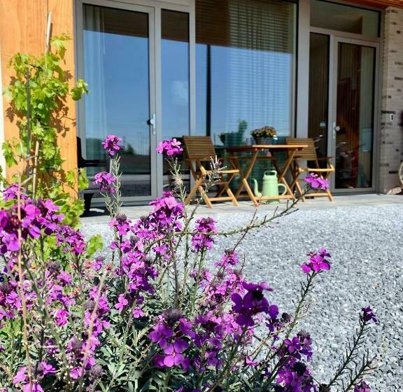 تختخواب و صبحانه Waterfront Studio