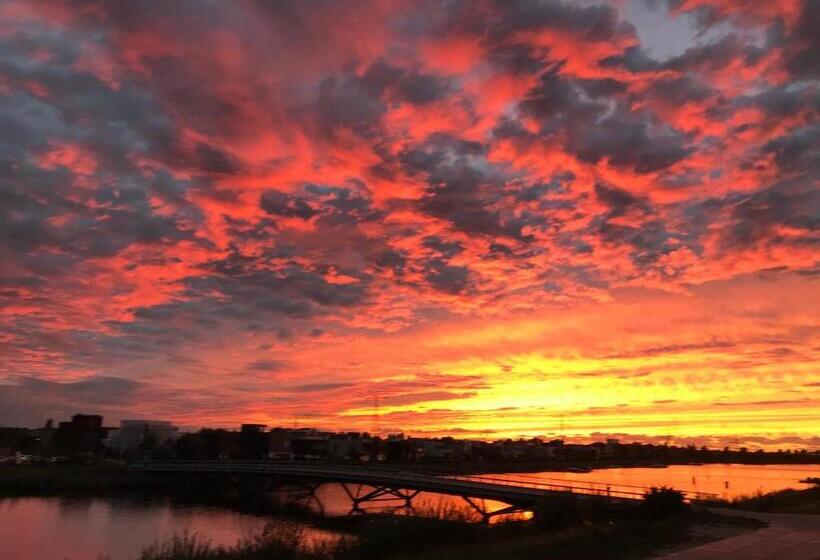 تختخواب و صبحانه Waterfront Studio