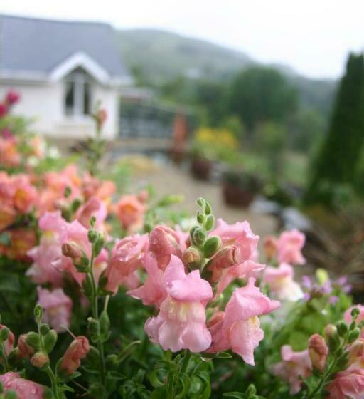 住宿加早餐 Wicklow Way Lodge