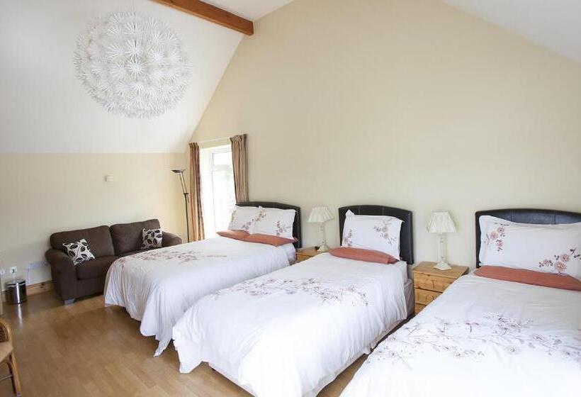 住宿加早餐 Wicklow Way Lodge