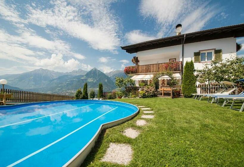 ホテル Garni Georgenhöhe