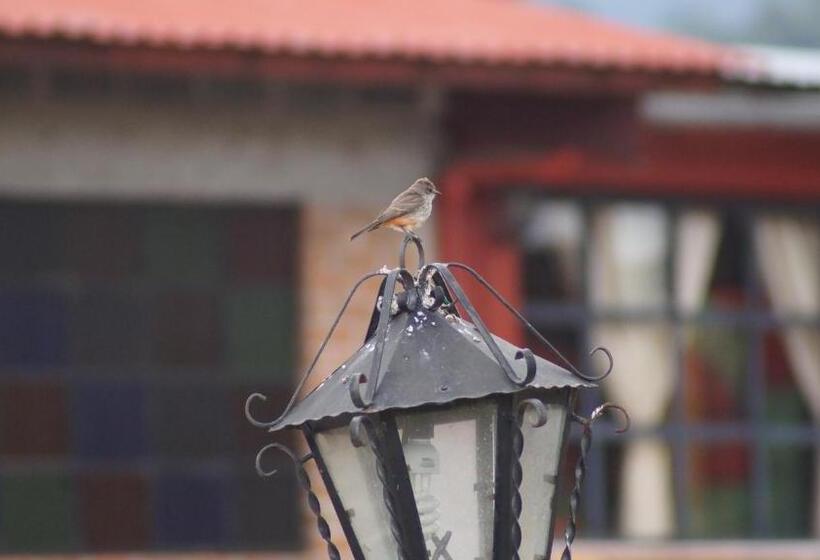 בית מלון כפרי Rio Estigia Inn