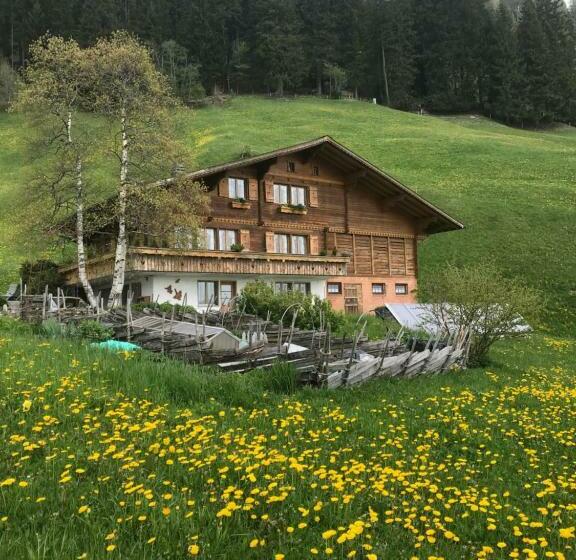 بنسيون Abelied