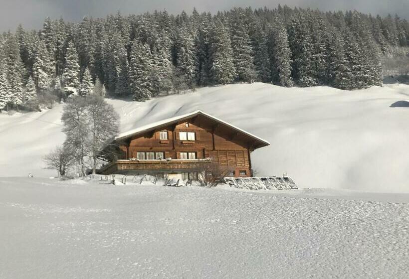 بنسيون Abelied