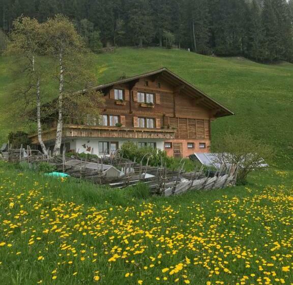 بنسيون Abelied