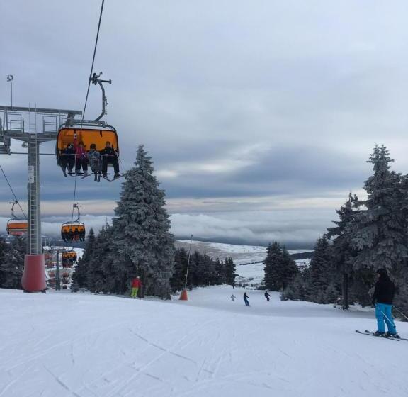 بنسيون Apartments Villa Viola