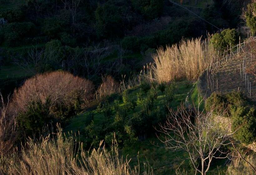 پانسیون Arbanella