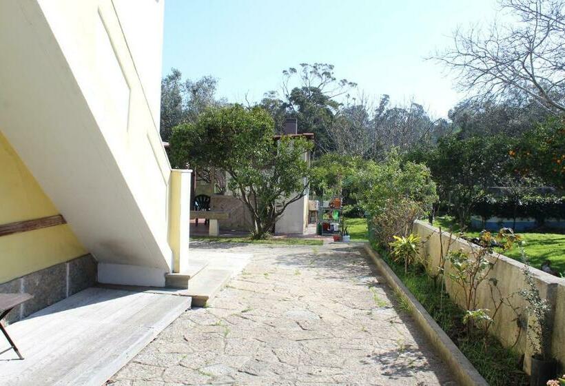 بنسيون Casa De Alojamento Local  Queluz De Baixo