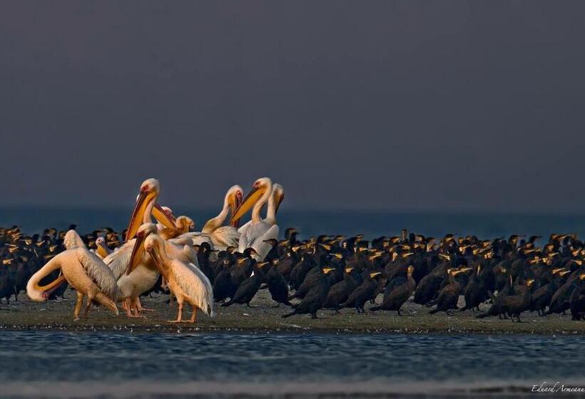 Пансион Vila Corsarul