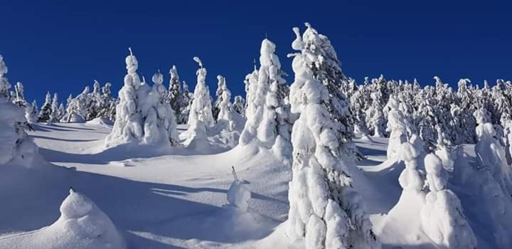 ペンション Katalin Kulcsosház