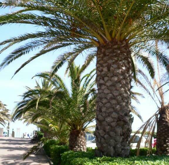 Пансион Bien Vivre Ensemble Aux Marches Du Soleil Chambres Privées Chez L Habitant Dans Appartement Partag