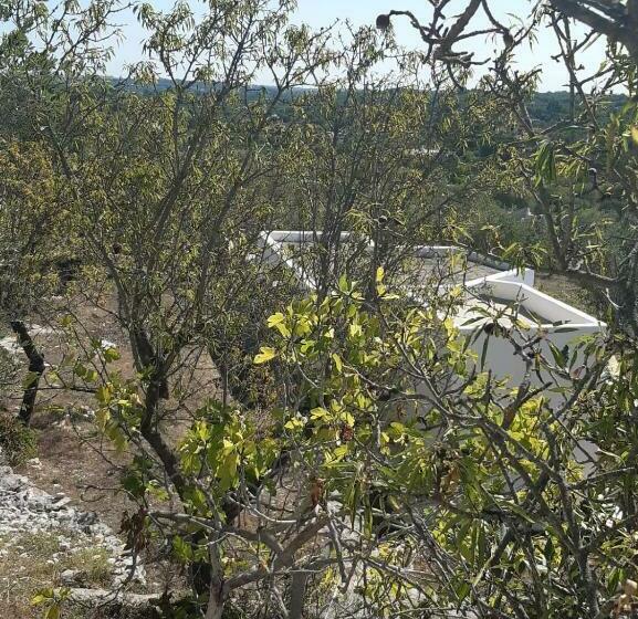 פנסיון Syconium Trullo And Lamia Gea Charme And History