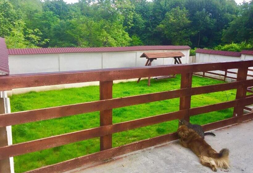 펜션 Vila Perla Govorei