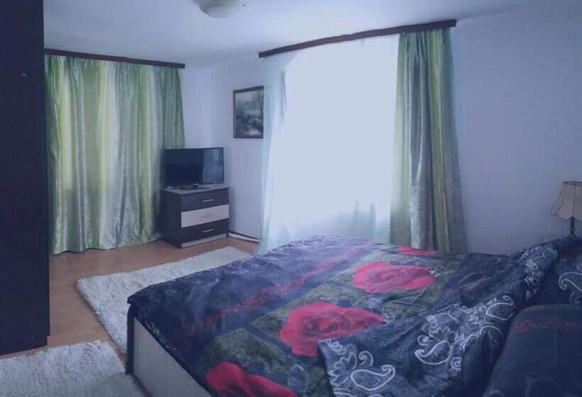 펜션 Vila Perla Govorei