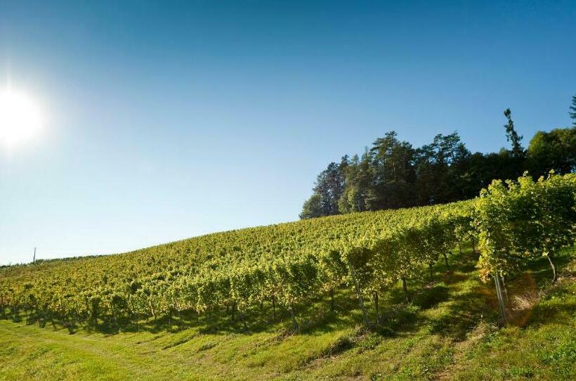 펜션 Gästezimmer & Buschenschank Mit Weingut Hack Gebell