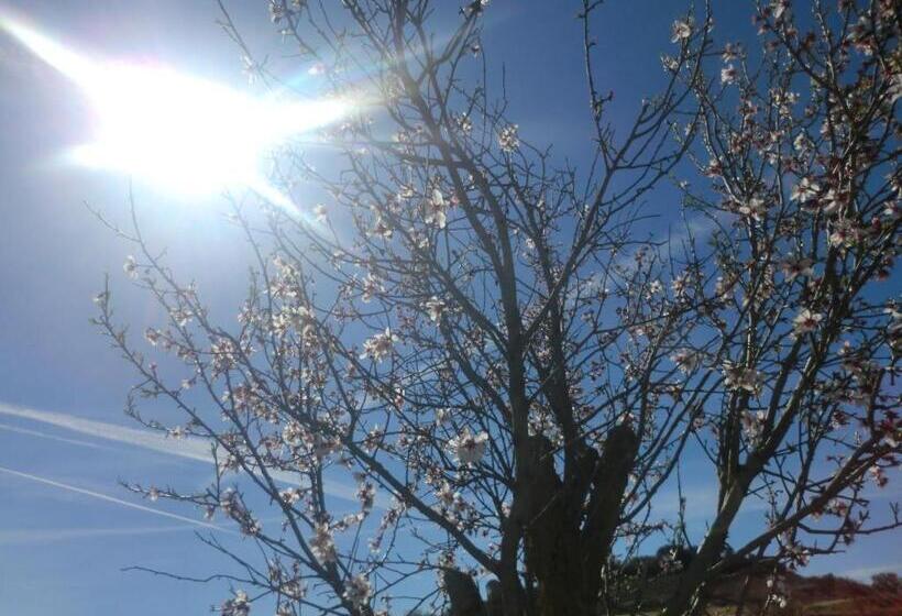 فندق صغير Ca La Bet