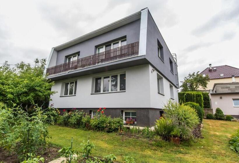 旅馆 Pension Milada