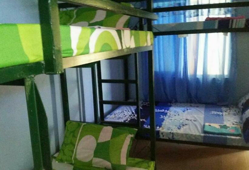 Rms Travellers Inn   Hostel