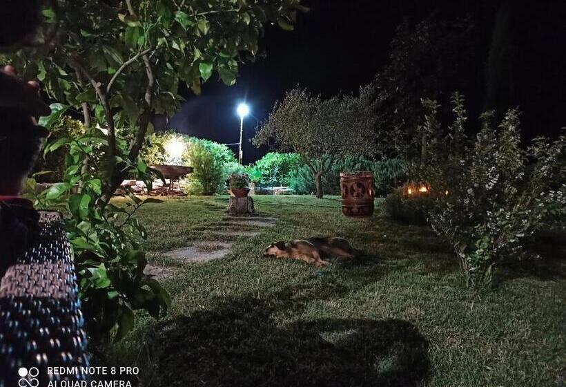 B&b Il Casone Di Drusa