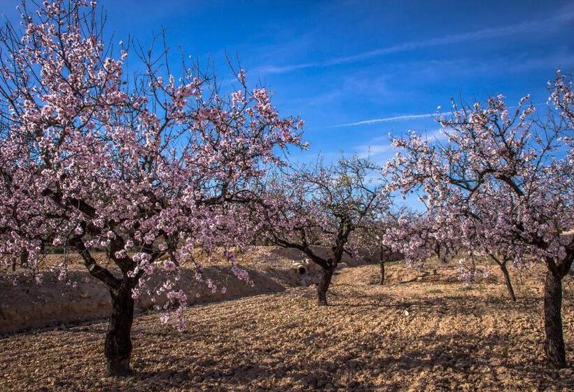 צימר Casa De La Piña