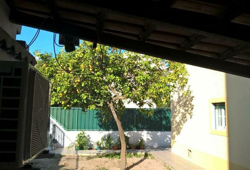 مبيت وإفطار Casa Do Limoeiro