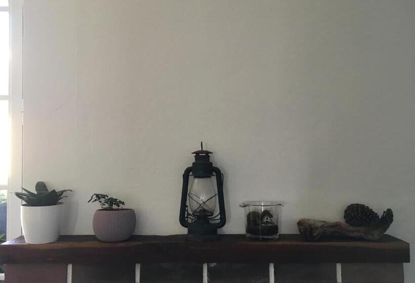 مبيت وإفطار Casa Do Til