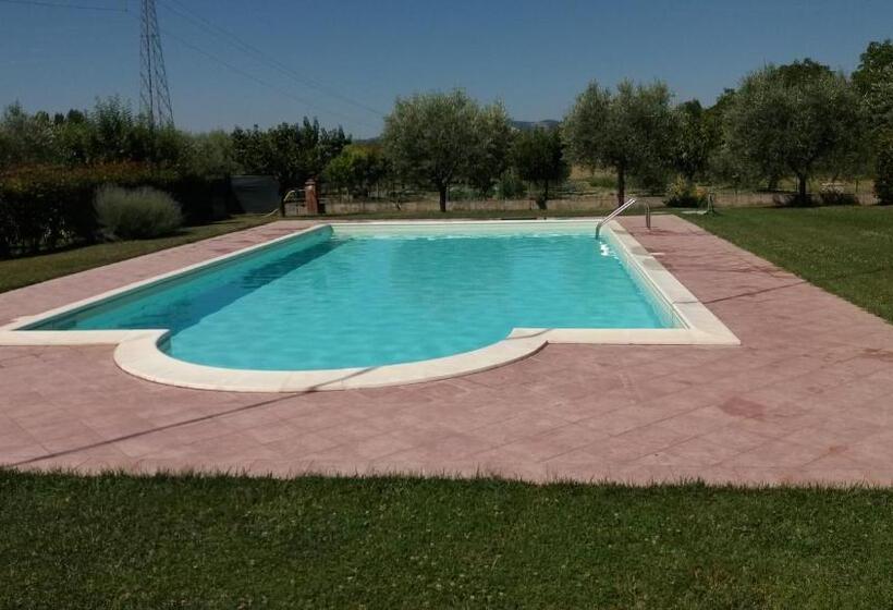 مبيت وإفطار Ilporticodispello