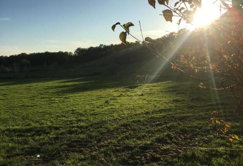 مبيت وإفطار La Ferme Buissonnière