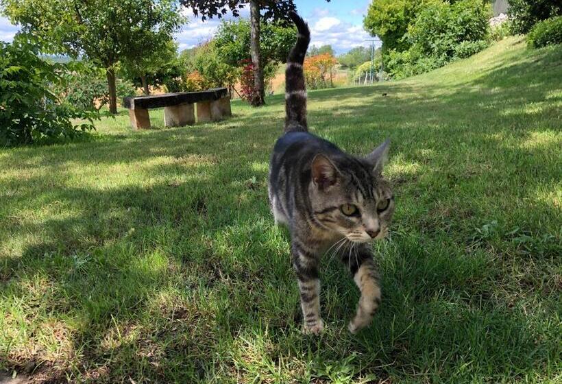 مبيت وإفطار La Ferme Buissonnière