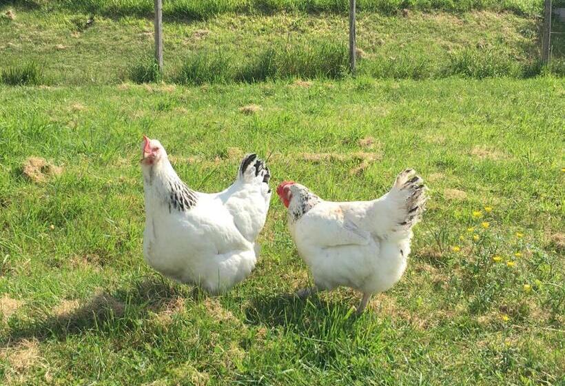 مبيت وإفطار La Ferme Buissonnière