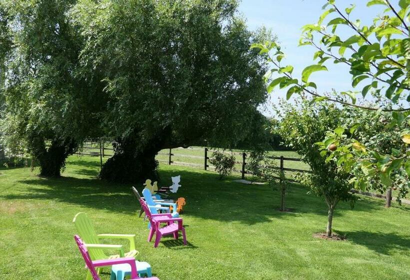 Bed and Breakfast Les Pérelles