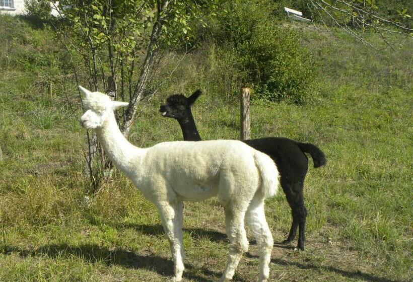 Bed and Breakfast Taillefer