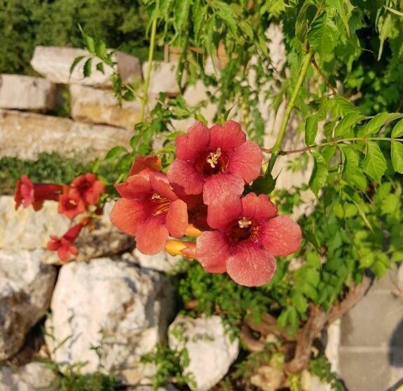 Bed and Breakfast Taillefer