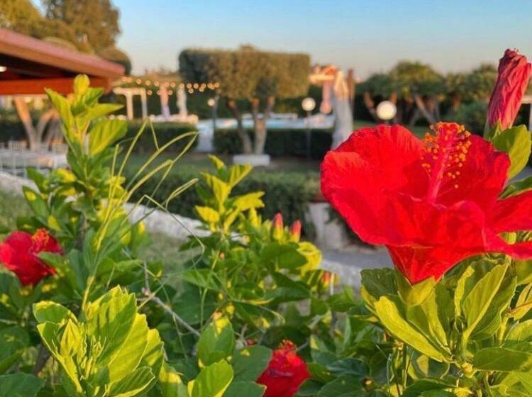 ベッドアンドブレックファースト Villalessandra