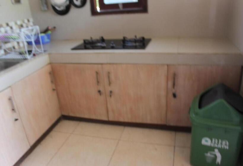 مبيت وإفطار Willy Homestay