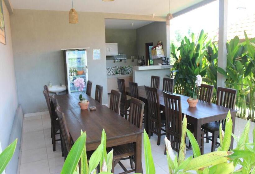 مبيت وإفطار Willy Homestay