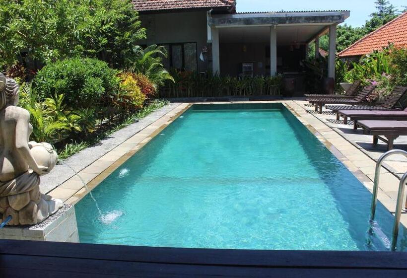 مبيت وإفطار Willy Homestay