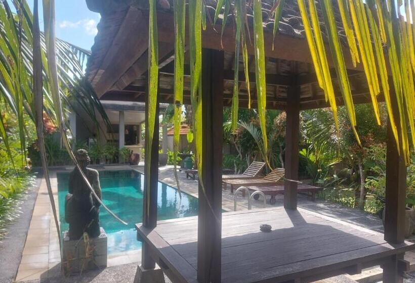 مبيت وإفطار Willy Homestay