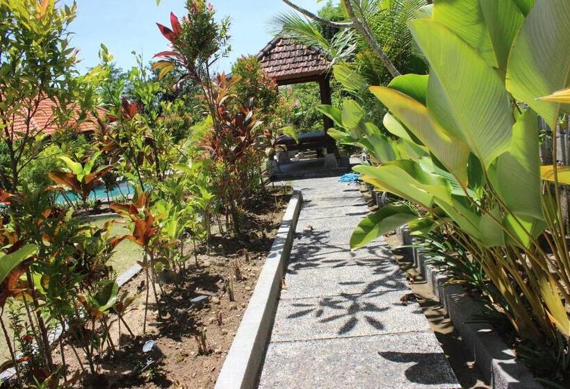 مبيت وإفطار Willy Homestay