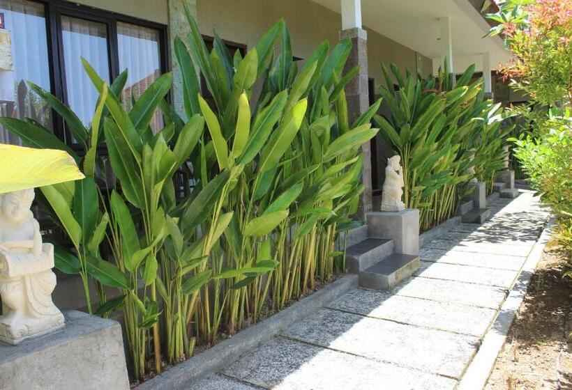 مبيت وإفطار Willy Homestay