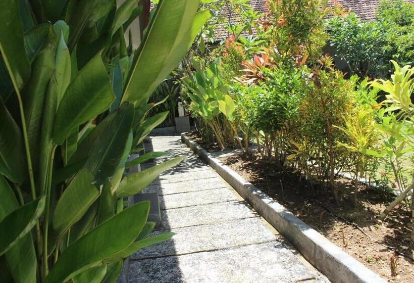 مبيت وإفطار Willy Homestay