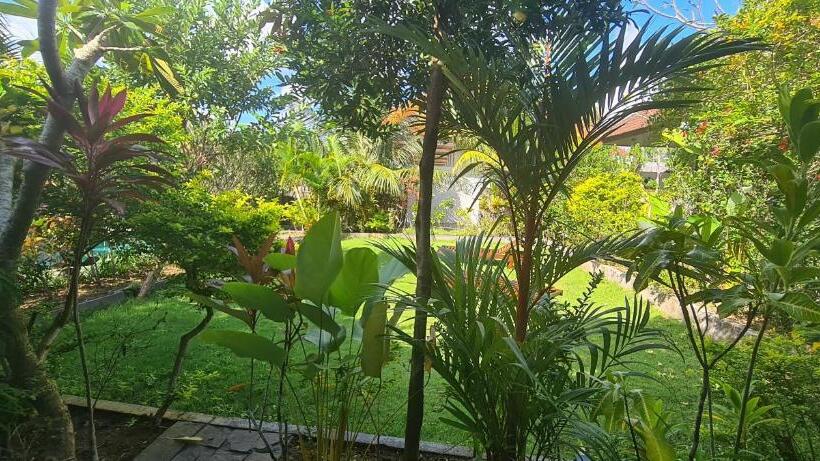 مبيت وإفطار Willy Homestay