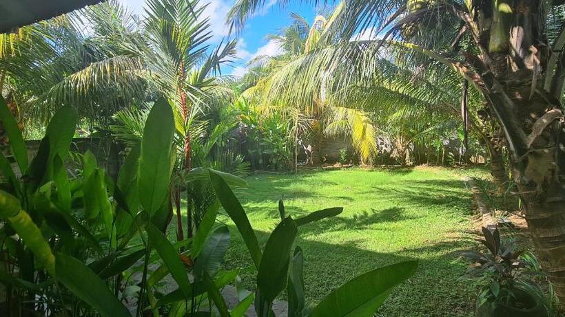 مبيت وإفطار Willy Homestay