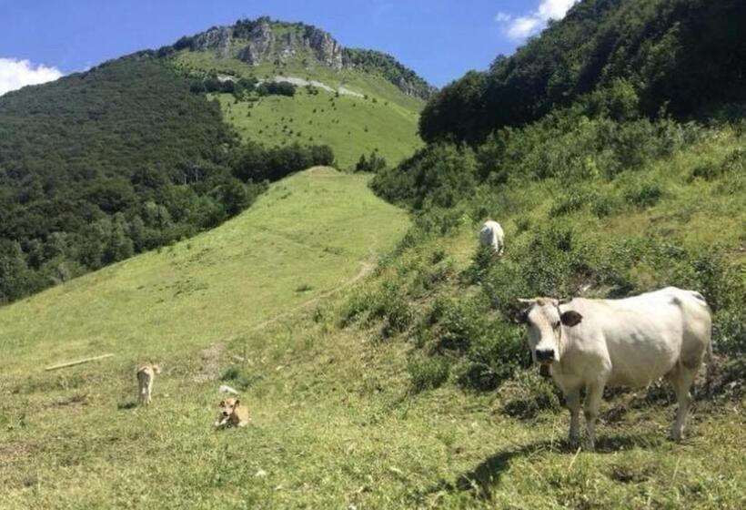 Chalet Morel 1586 Hotel & Spa