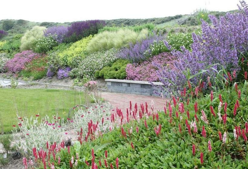 Duinvilla Aan De Zee B&b