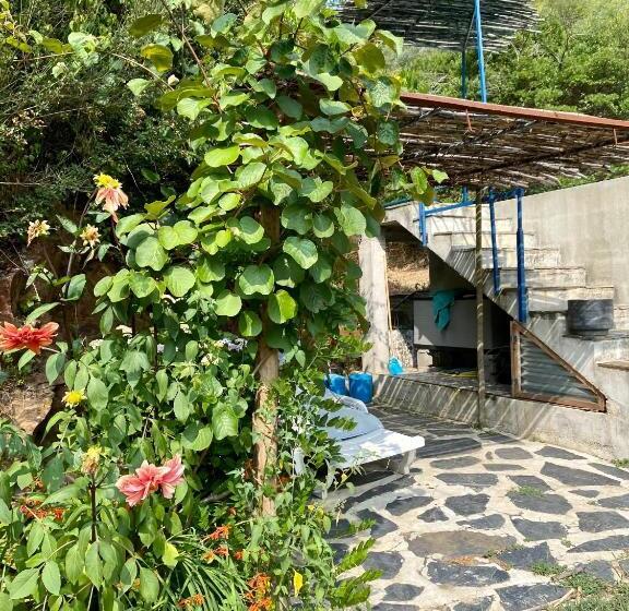 Guest Room B&b Agro Turismo Quinta Da Fonte