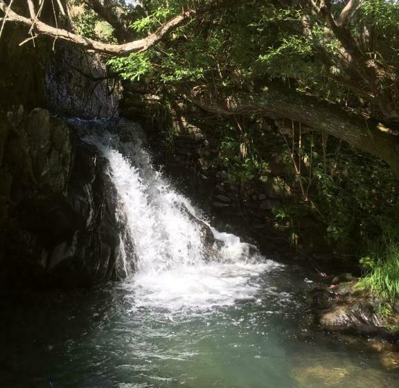 Guest Room B&b Agro Turismo Quinta Da Fonte
