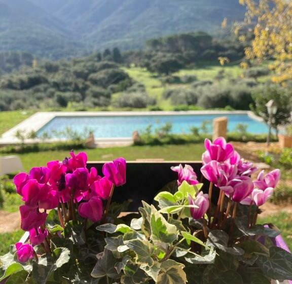 호텔 Agriturismo Is Conchisceddas