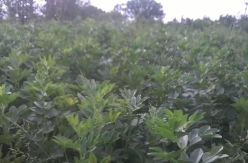 فندق Agriturismo Tre Santi