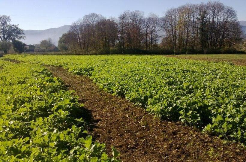 فندق Agriturismo Tre Santi